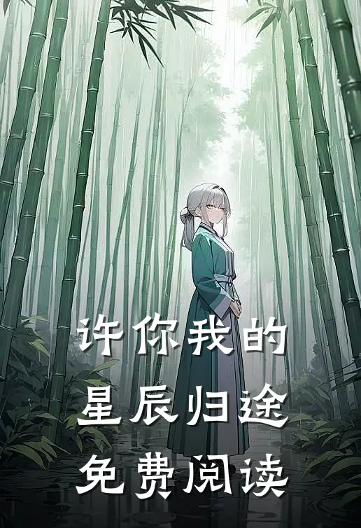 许你我的星辰归途免费阅读