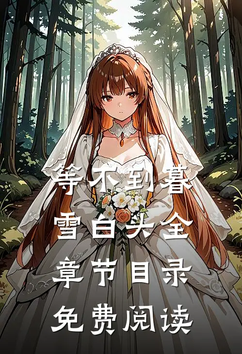 等不到暮雪白头全章节目录免费阅读