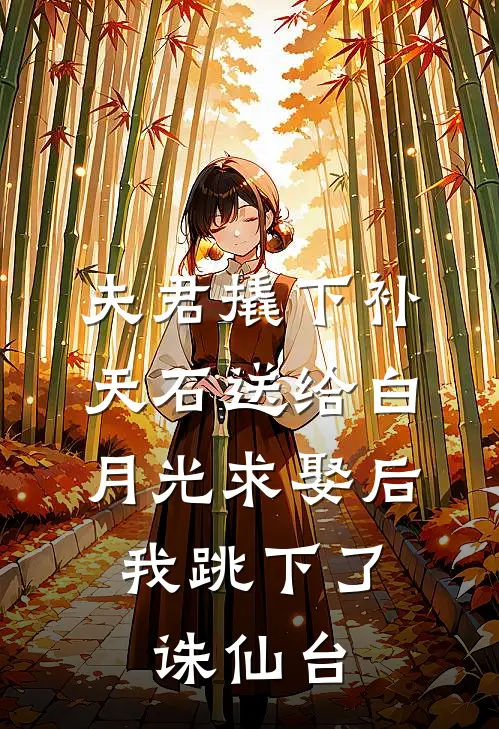 夫君撬下补天石送给白月光求娶后，我跳下了诛仙台